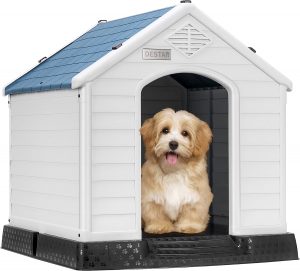 2-Dog House is appropriate for pets