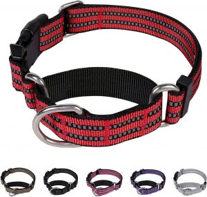 Adjustable Nylon Training Dog Collar