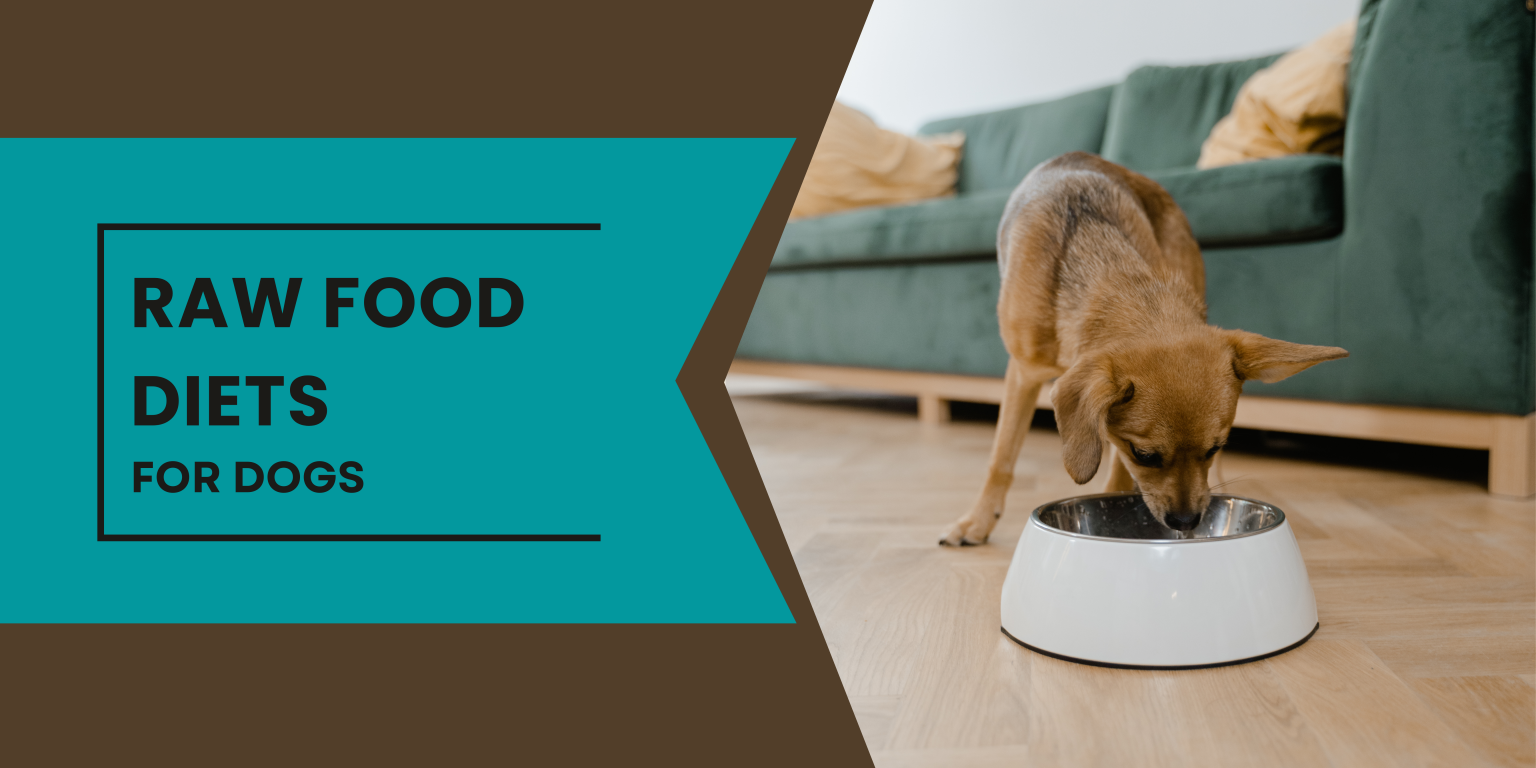 Raw Food Diets for Dogs The Facts German Shepherd Place