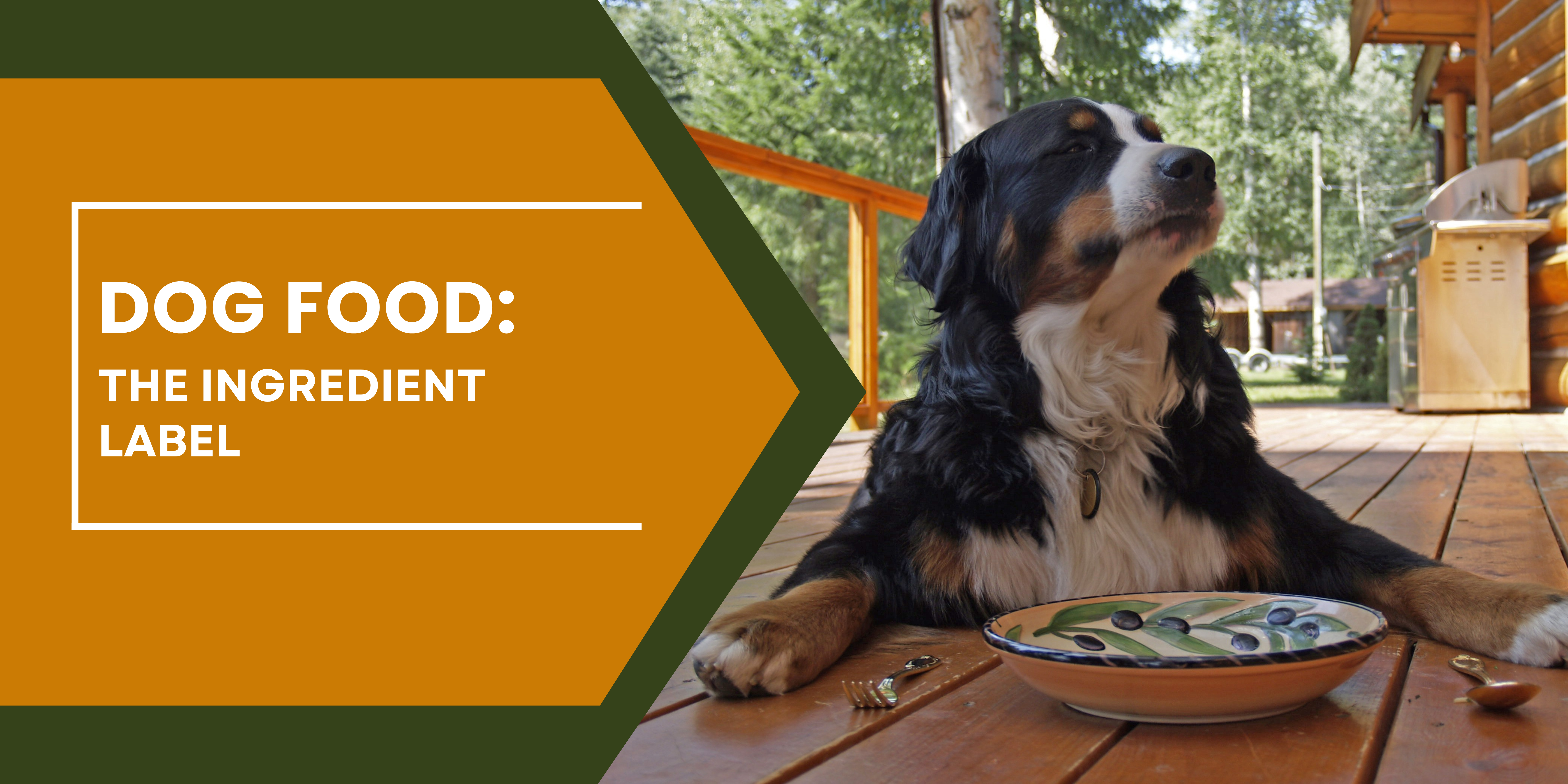 Dog Food: The Ingredient Label