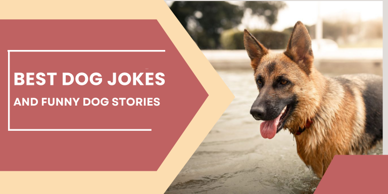 Best Dog Jokes and Funny Dog Stories
