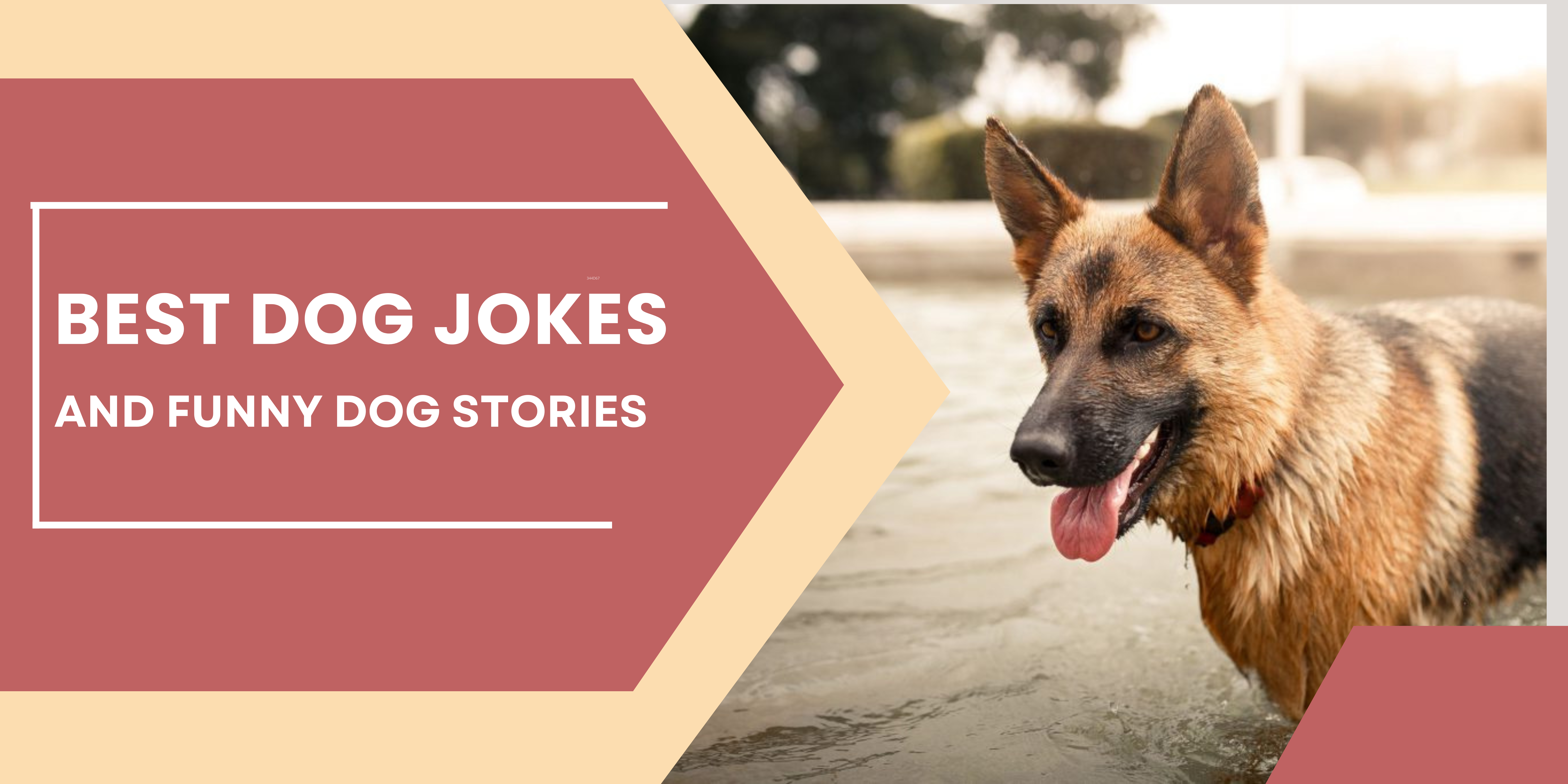 jokes stories