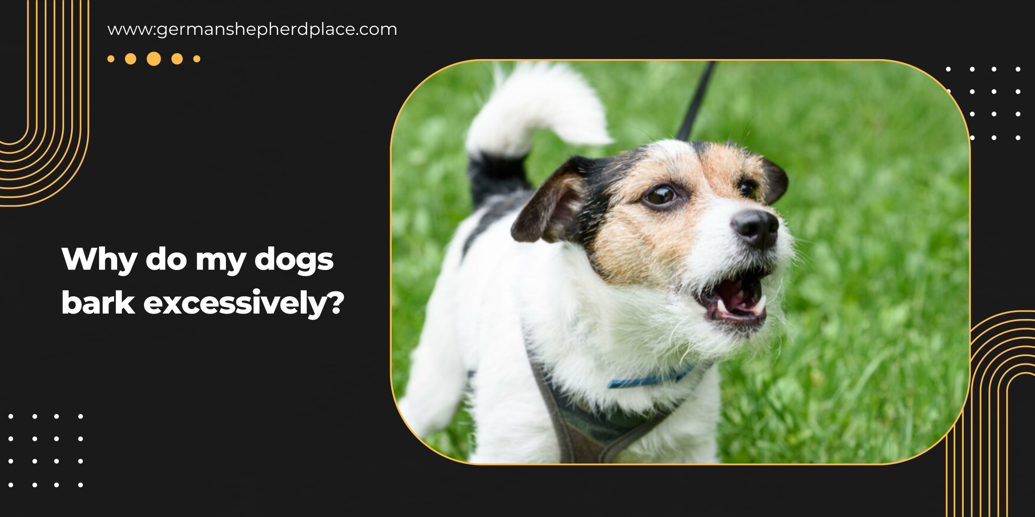 Why do dogs bark German Shepherd Place