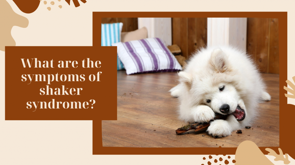 What is "dog shaker syndrome"? German Shepherd Place