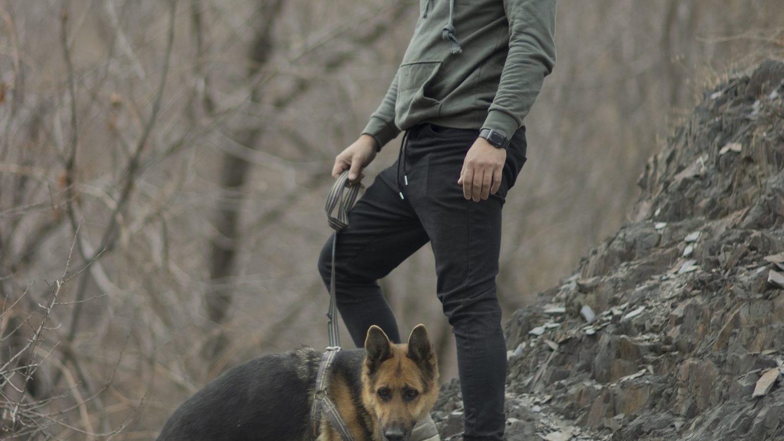 A German Shepherd walking on a hillside trail beside its owner