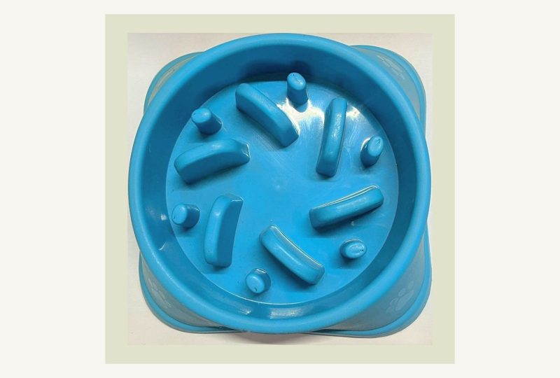 A blue plastic slow feeder dog bowl with raised ridges seen from above