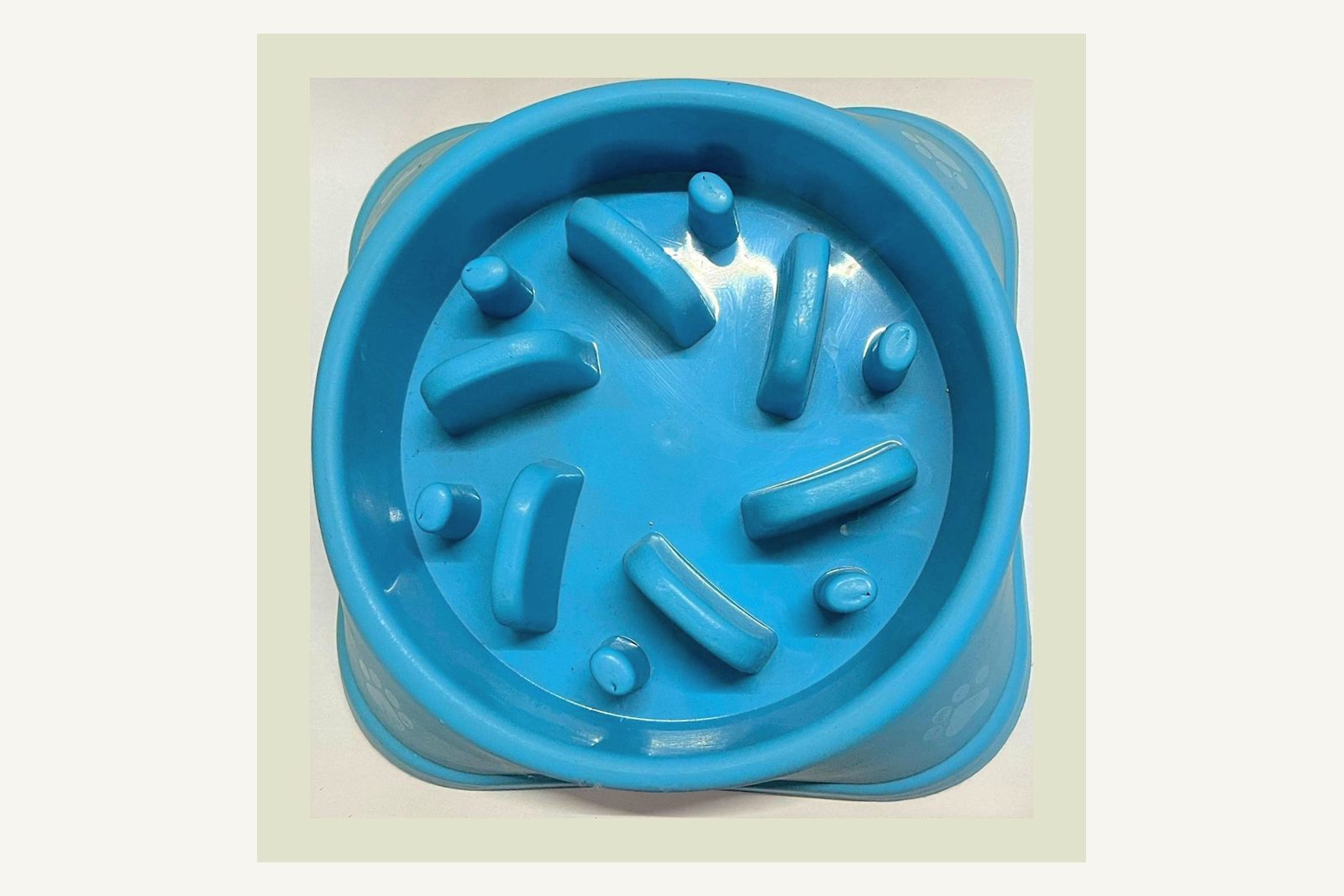 Slow feeder dog bowl with ridges that turn a meal into a puzzle